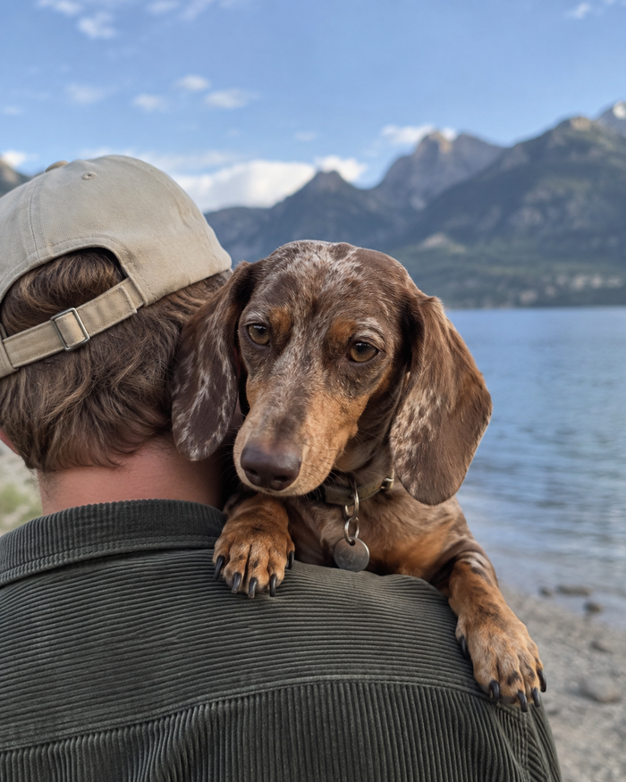 David mit Bruno