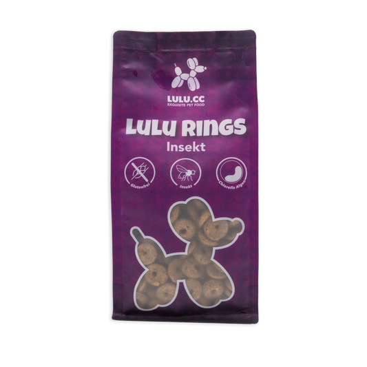 Rings Insekt